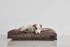 MiaCara Divo Hondenkussen Medium Slate -Flos || EMU Winkel x886x886 miacara unica hondenplaid large11.jpg.pagespeed.ic .q52raqSVTu