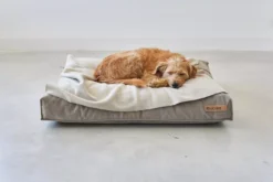 MiaCara Velluto Hondenkussen Small Nude -Flos || EMU Winkel x886x886 miacara velluto hondenkussen large8.jpg.pagespeed.ic .Upj1Ozflgz 3