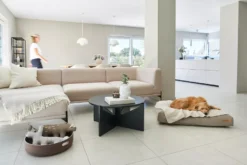 MiaCara Velluto Hondenkussen Medium Nude -Flos || EMU Winkel x886x886 miacara velluto hondenkussen large9.jpg.pagespeed.ic .E2vZno4X n