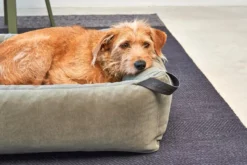 MiaCara Velluto Hondenmand Large Sage -Flos || EMU Winkel x886x886 miacara velluto hondenmand large6.jpg.pagespeed.ic .aXN3H 21OY