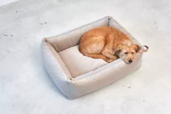 MiaCara Velluto Hondenmand Large Sage -Flos || EMU Winkel x886x886 miacara velluto hondenmand large9.jpg.pagespeed.ic .IA9vkAoJ5d