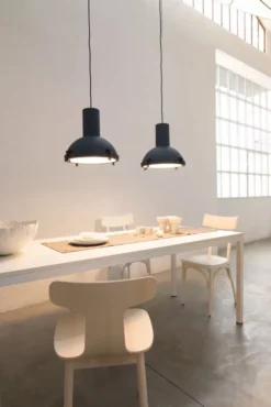 Nemo Projecteur 365 Hanglamp Moka -Flos || EMU Winkel x886x886 nemo projecteur 365 hanglamp7.jpg.pagespeed.ic .0sxtxaDmDd