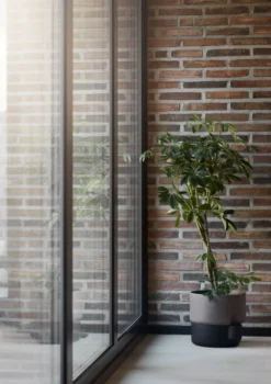 Northern Oasis Plantenbak Small Ø15 Wit/terracotta -Flos || EMU Winkel x886x886 northern oasis plantenpot small2.jpg.pagespeed.ic .WCDgWnvxED