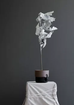 Northern Oasis Plantenbak Small Ø15 Wit/terracotta -Flos || EMU Winkel x886x886 northern oasis plantenpot small3.jpg.pagespeed.ic .sYEuikF99W