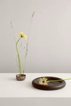 Northern Observe Dienblad Ø32 Coral Red -Flos || EMU Winkel x886x886 northern observe dienblad 325.jpg.pagespeed.ic .5mSn4U tJ4 1