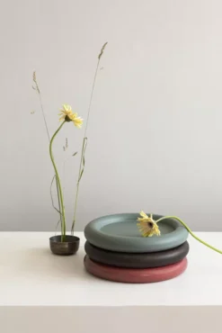 Northern Observe Dienblad Ø32 Coral Red -Flos || EMU Winkel x886x886 northern observe dienblad 328.jpg.pagespeed.ic .4 HH7fy3cN 1