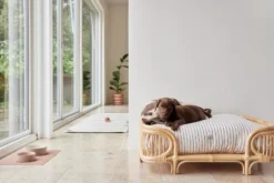 OYOY Otto Hondenmand Medium Rattan -Flos || EMU Winkel x886x886 oyoy otto hondenmand medium rattan1.jpg.pagespeed.ic . 2OZvwyJgS