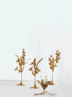 POLSPOTTEN Lilly Kandelaar -Flos || EMU Winkel x886x886 pols potten lilly kandelaar4.jpg.pagespeed.ic .gCecHq2w0N