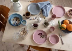 Sebra Mums Beker Set Van 2 Blossom Pink -Flos || EMU Winkel x886x886 sebra mums beker set van 2.jpg.pagespeed.ic .A87kKeMpjb