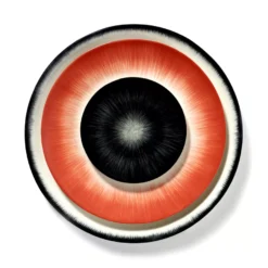 Serax Dé Tableware By Ann Demeulemeester Ontbijtbord Ø17,5 White/red 5 -Flos || EMU Winkel x886x886 serax d tableware by ann demeulemeester ontbijtbord 17 524.jpg.pagespeed.ic .HAU KIXk2V 2