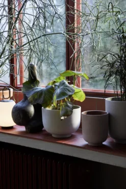 &tradition Collect SC72 Bloempot Ø20 Milk -Flos || EMU Winkel x886x886 tradition collect sc70 bloempot5.jpg.pagespeed.ic .Lmb9wv42va 1