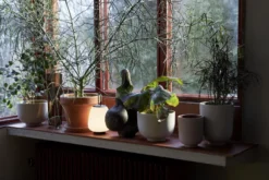 &tradition Collect SC72 Bloempot Ø20 Milk -Flos || EMU Winkel x886x886 tradition collect sc70 bloempot6.jpg.pagespeed.ic .Yk1OLy2FOY 1