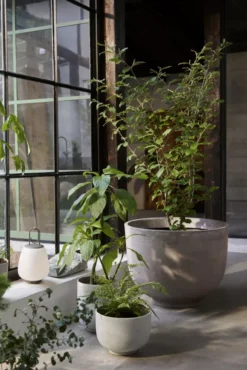 &tradition Collect SC72 Bloempot Ø20 Sienna 34 &tradition Collect SC72 Bloempot Ø20 Sienna -Flos || EMU Winkel x886x886 tradition collect sc71 bloempot11.jpg.pagespeed.ic .QWiKCtOjCF