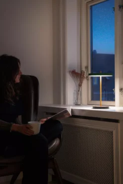 Umage Asteria Tafellamp LED Oplaadbaar Ø20 Nuance Rose -Flos || EMU Winkel x886x886 umage asteria portable tafellamp led8.jpg.pagespeed.ic .k6Qbz8AbK4