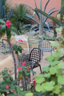 Zuiver Albert Kuip Tuinstoel Zwart -Flos || EMU Winkel x886x886 zuiver albert kuip tuinstoel13.jpg.pagespeed.ic .x5Kb4MA3p7