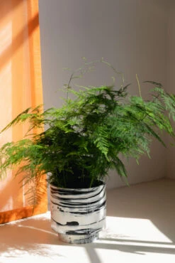 Zuiver Conic Bloempot Ø24.5 Black/white 13 Zuiver Conic Bloempot Ø24.5 Black/white -Flos || EMU Winkel x886x886 zuiver conic bloempot4.jpg.pagespeed.ic .1XoohU3T s