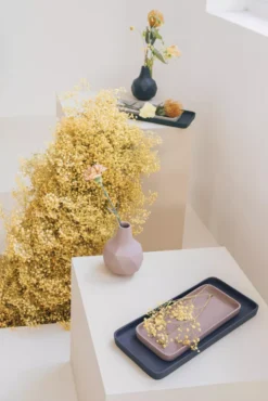 Zuiver Rebel Dienblad Set Van 2 Blue Pink -Flos || EMU Winkel x886x886 zuiver rebel dienblad set van 26.jpg.pagespeed.ic . H8Eebsly3