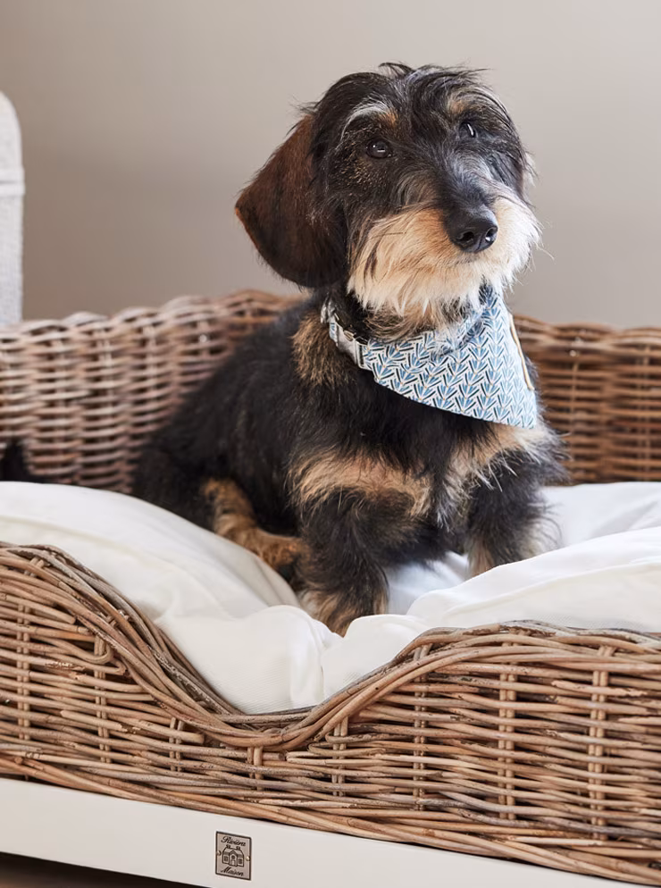 Flos || EMU Winkel -Flos || EMU Winkel 3